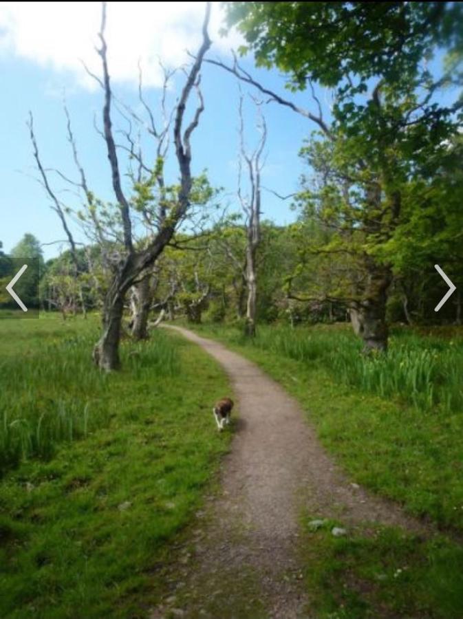Happydays Caravan 1 Newton Stewart Whithorn Eksteriør billede